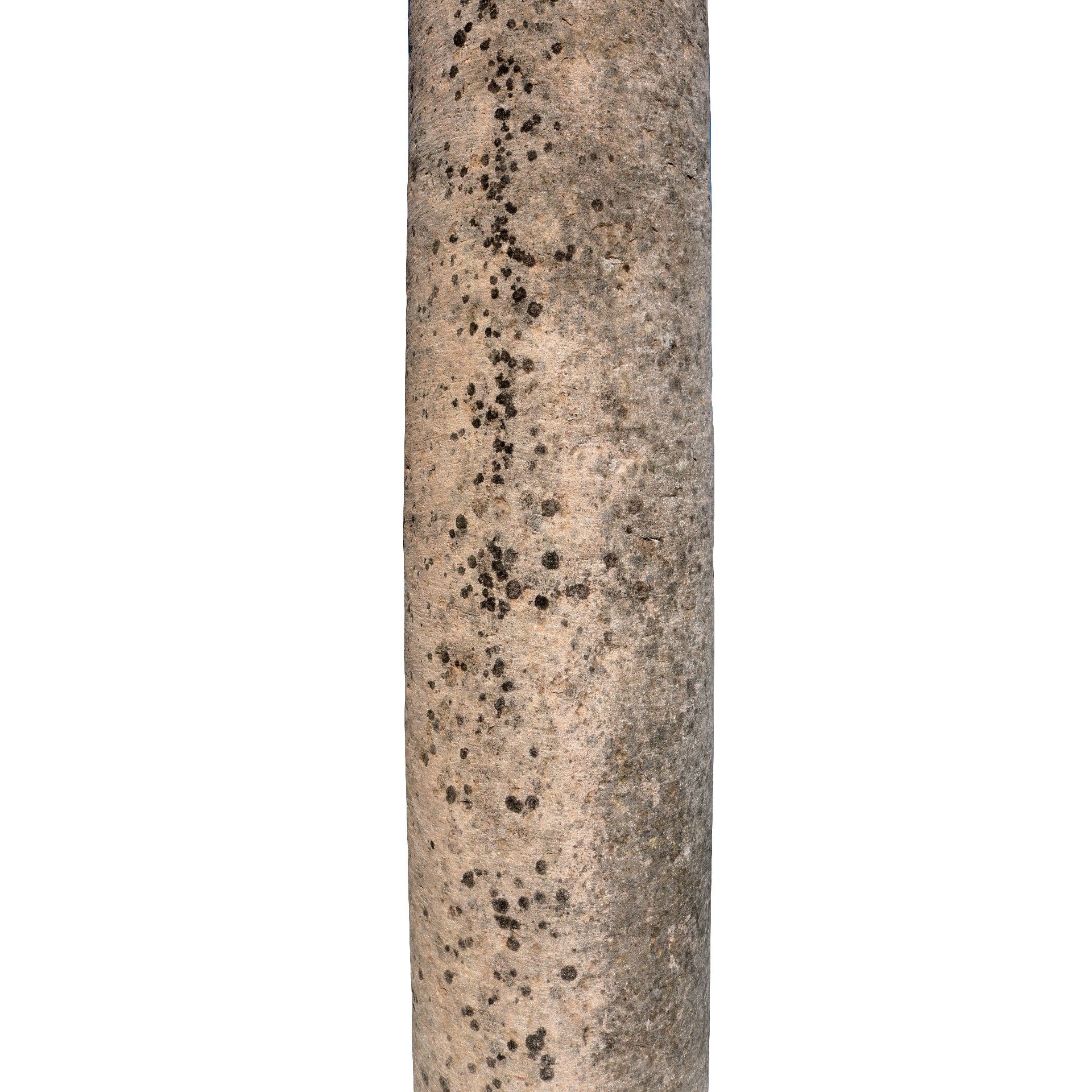 Quattro colonne antiche in pietra. Epoca 1800. - 1