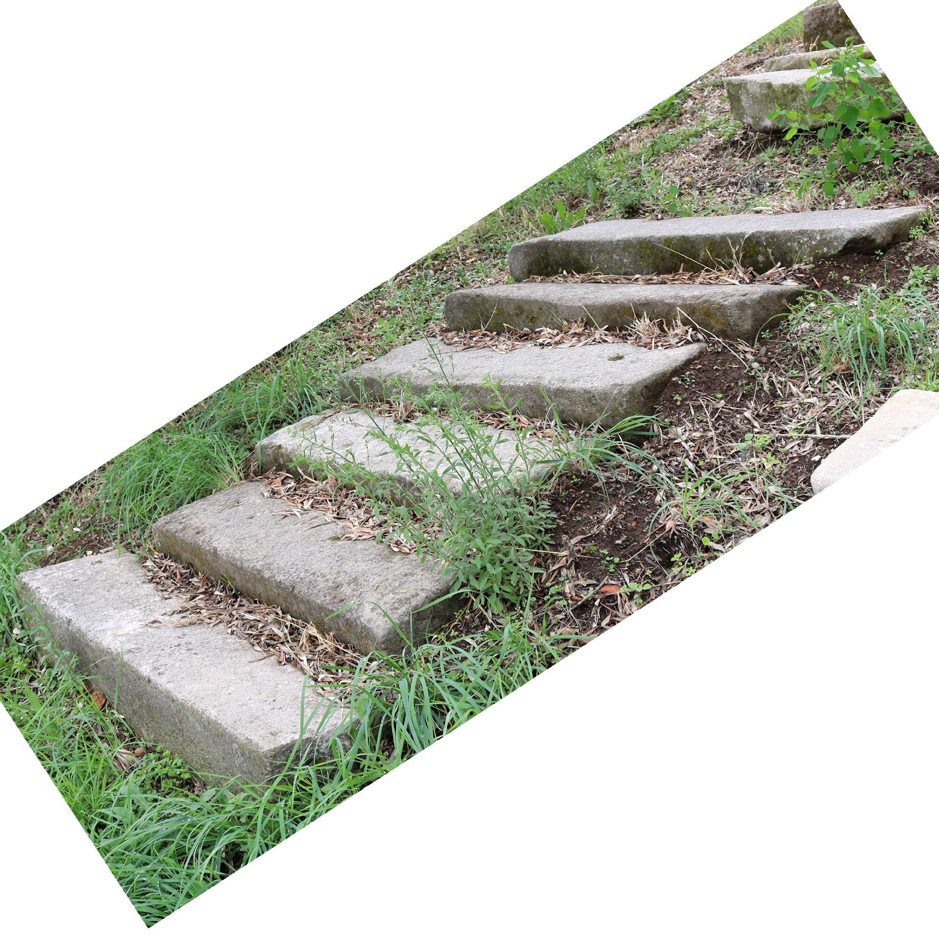 Antica scalinata in pietra - 1