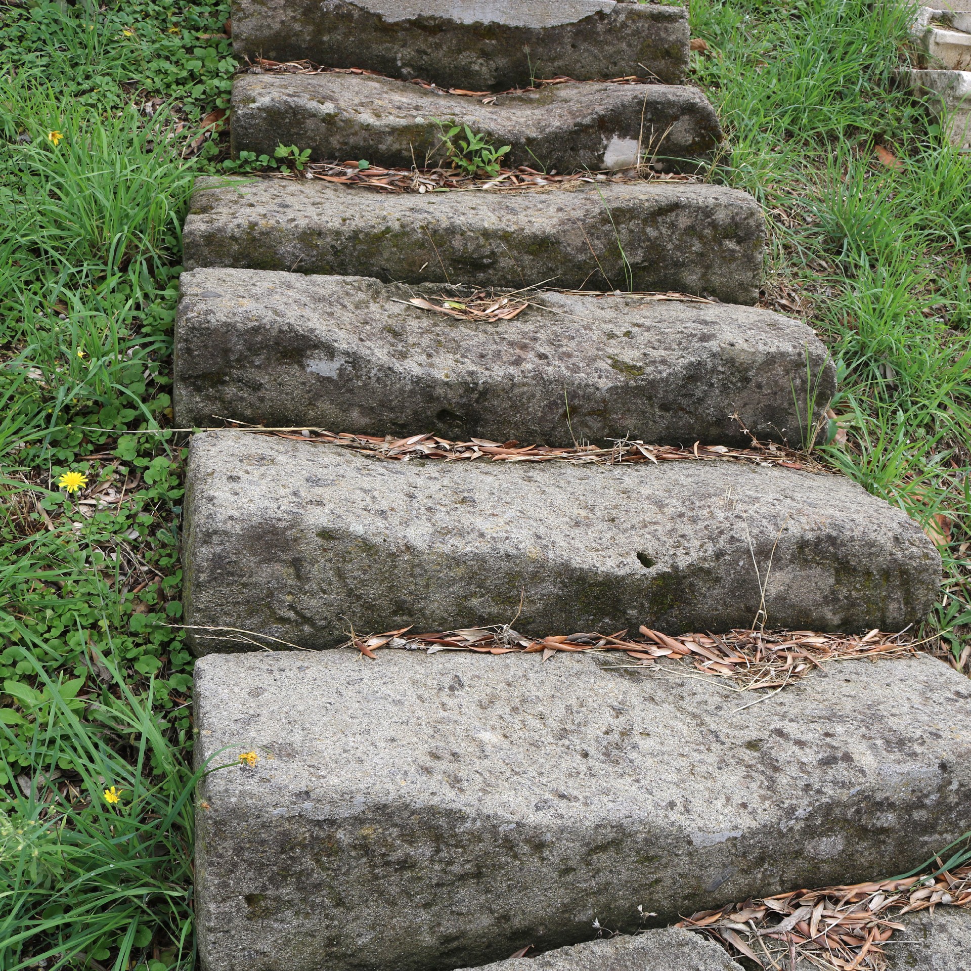 Antichi scalini in pietra - 1