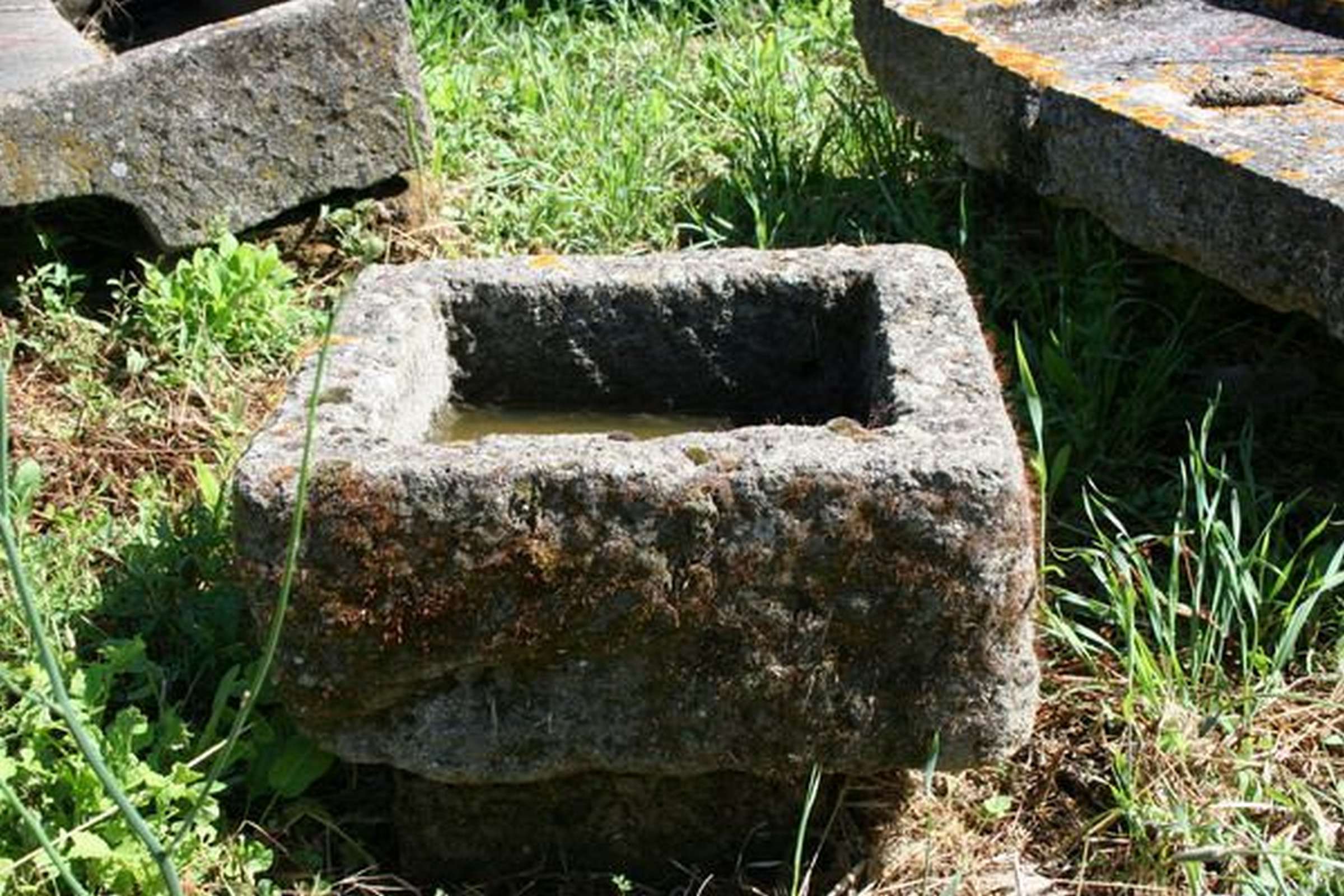 Antica vasca in pietra - 1