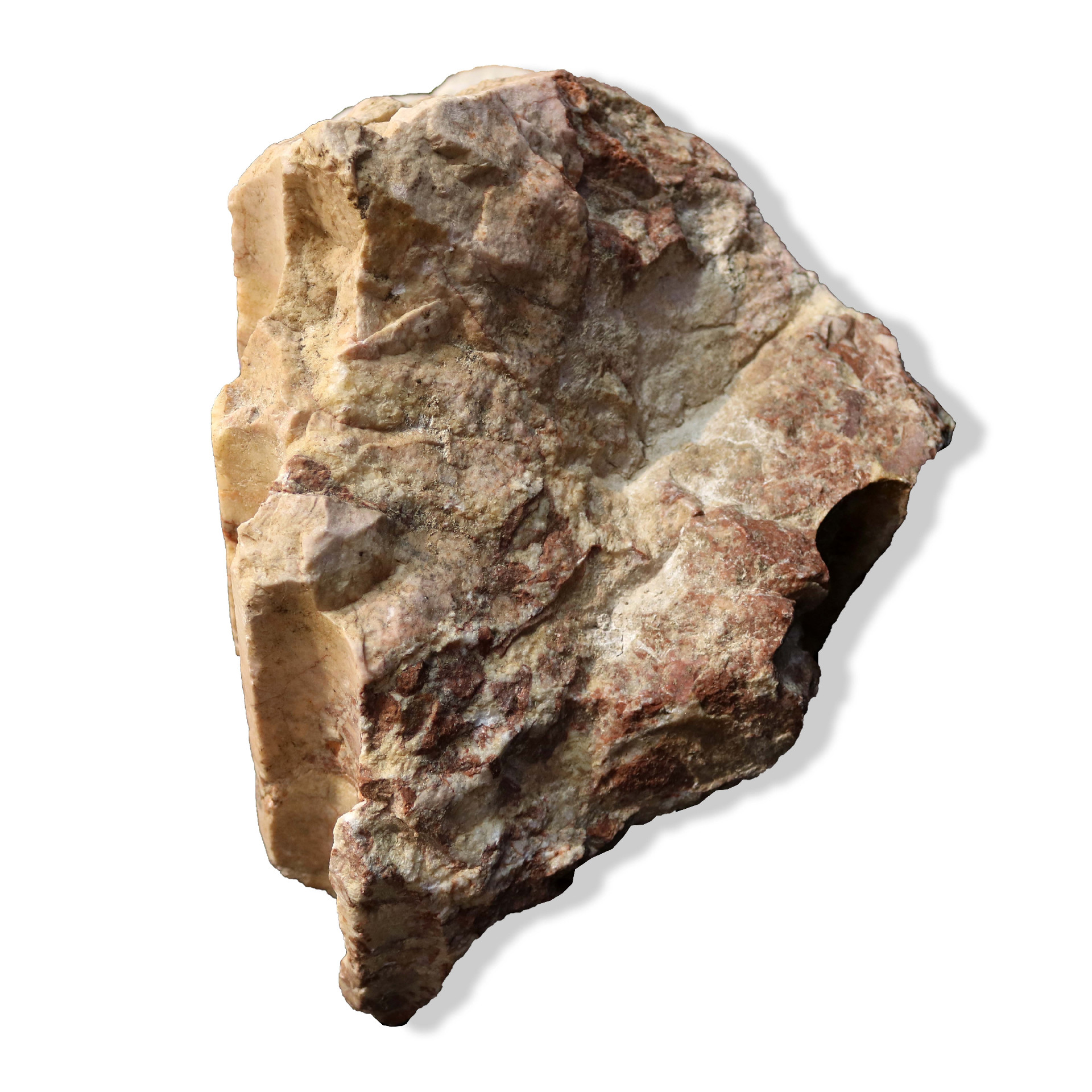 Antico frammento di colonna in marmo. - 1