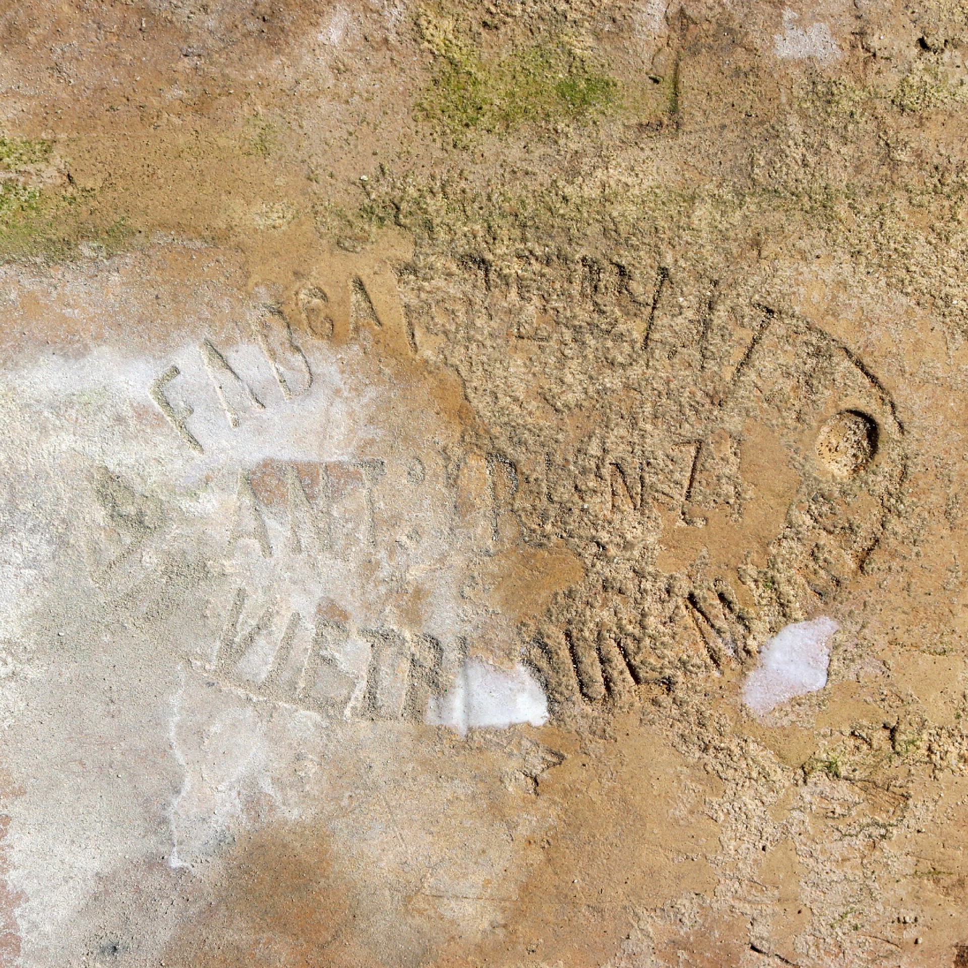 Antica pavimentazione in maiolica. - 1