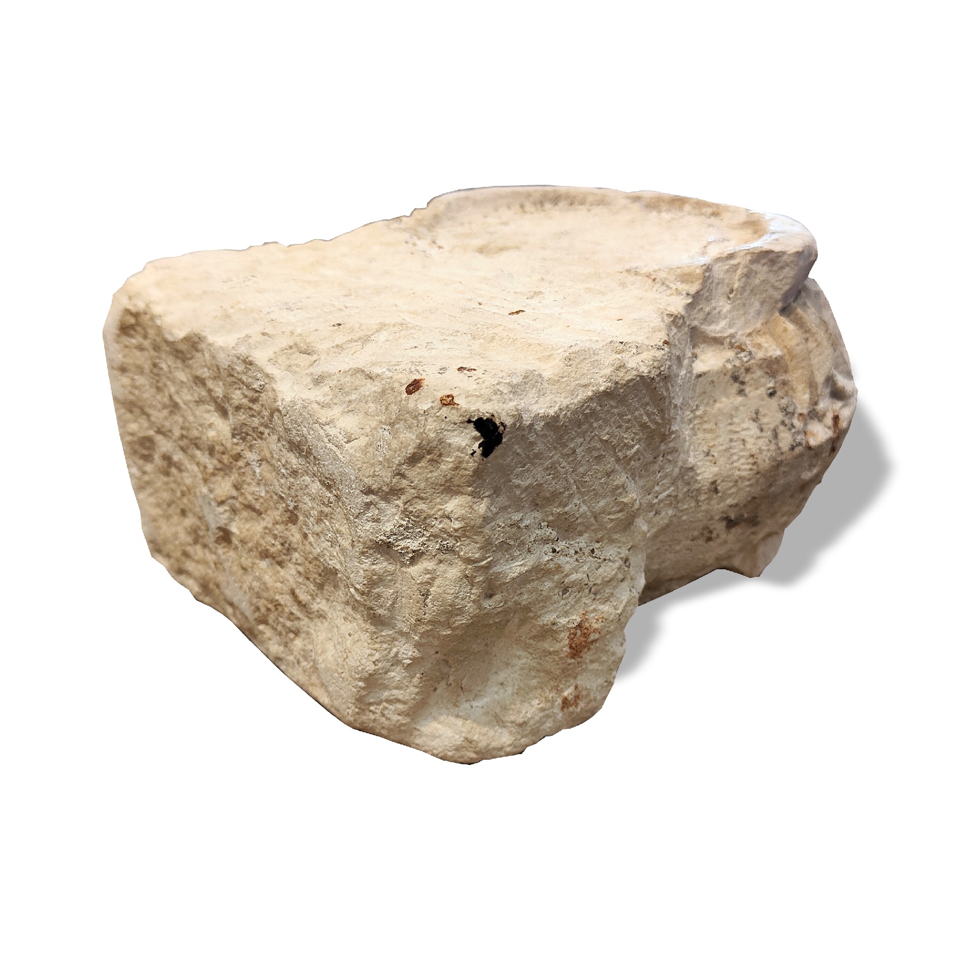 Antica base in pietra chiara - 1