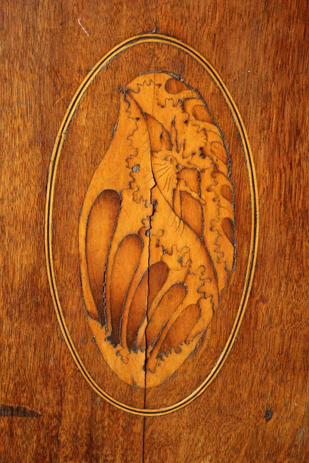 Comoncino in legno di noce. Epoca 1800. - 1