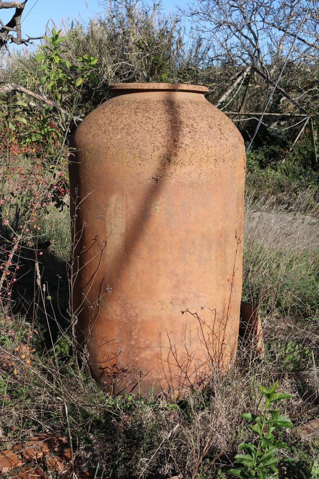 Quattro orci antichi in terracotta. Epoca 1800. - 1