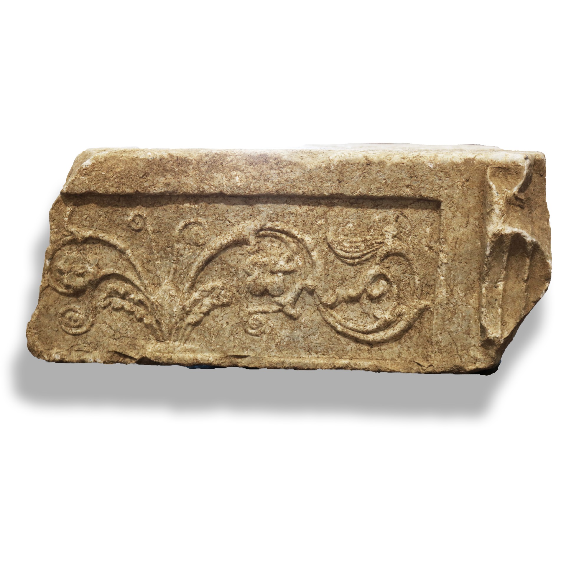 Frammento di coperchio in marmo. Epoca I - II sec. D.c. - Elementi Architettonici - Architettura - Prodotti - Antichità Fiorillo