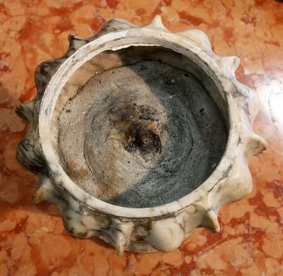 Antico vaso baccellato. Epoca 1800. 