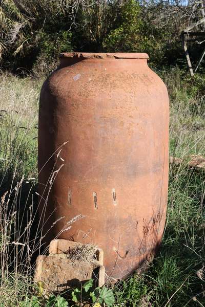 Quattro orci antichi in terracotta. Epoca 1800. 